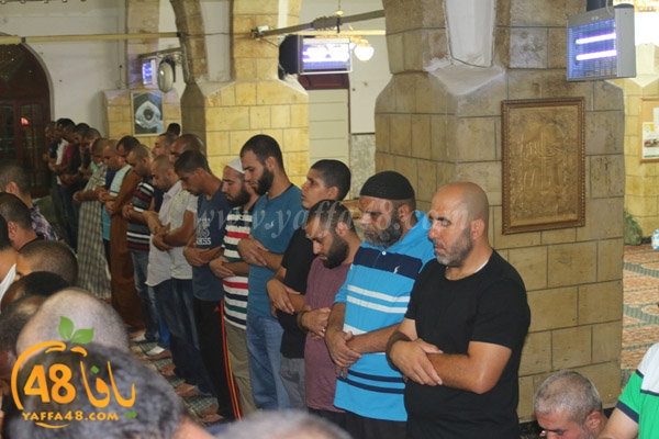 7san bek waf (2).JPG